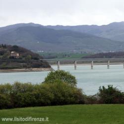 Morì dopo tuffo nel lago Bilancino, pm "Condannare gestore spiaggia per omicidio