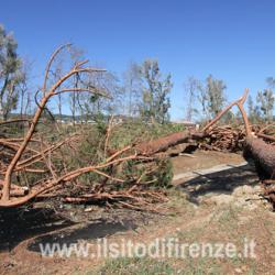 Immagine articolo - Il sito d&#039;Italia