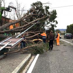 Immagine articolo - Il sito d&#039;Italia