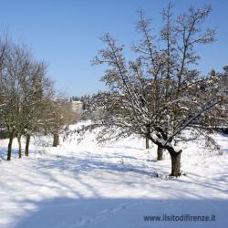 Immagine articolo - ilsitodiFirenze.it