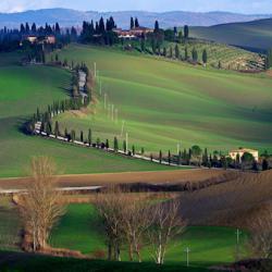 Immagine articolo - ilsitodiFirenze.it